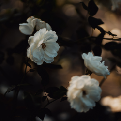 Cover artwork for vocal There You Are